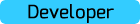 Developer Developer